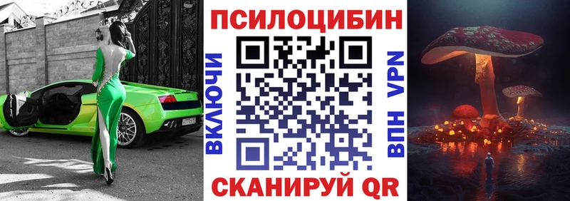 Псилоцибиновые грибы Psilocybe  купить  цена  blacksprut как войти  Абдулино 